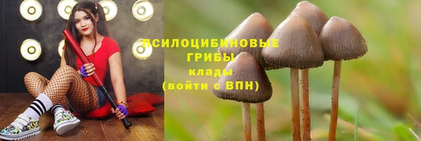 бутират Лабытнанги