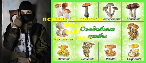 спайс Лагань