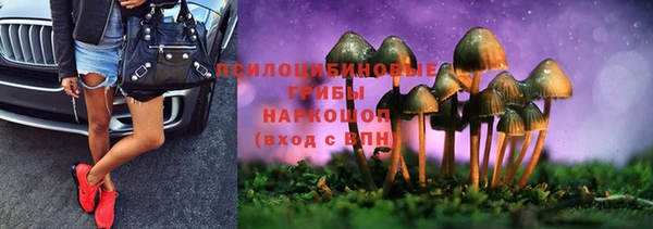 таблы Ладушкин
