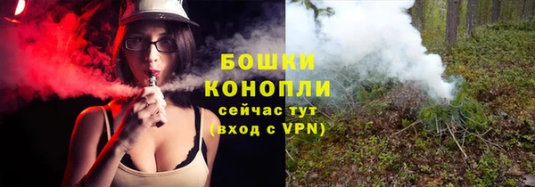 спайс Лагань